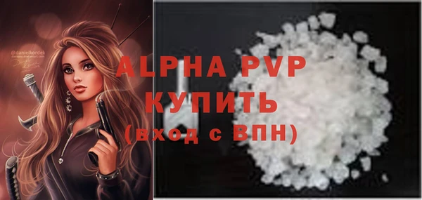 хмурый Вяземский