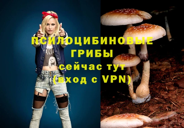 герыч Вязники