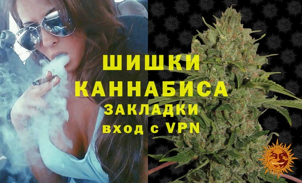хмурый Вяземский