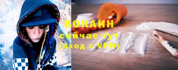 хмурый Вяземский